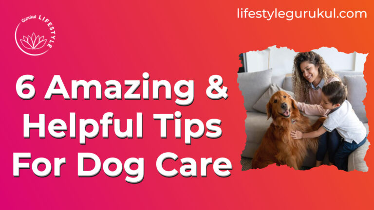 6 Amazing & Helpful Tips For Dog Care